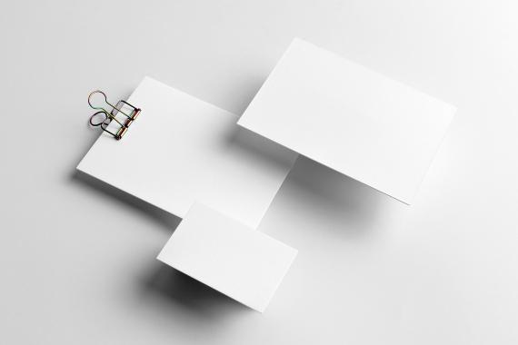 Lucid Branding Mockup