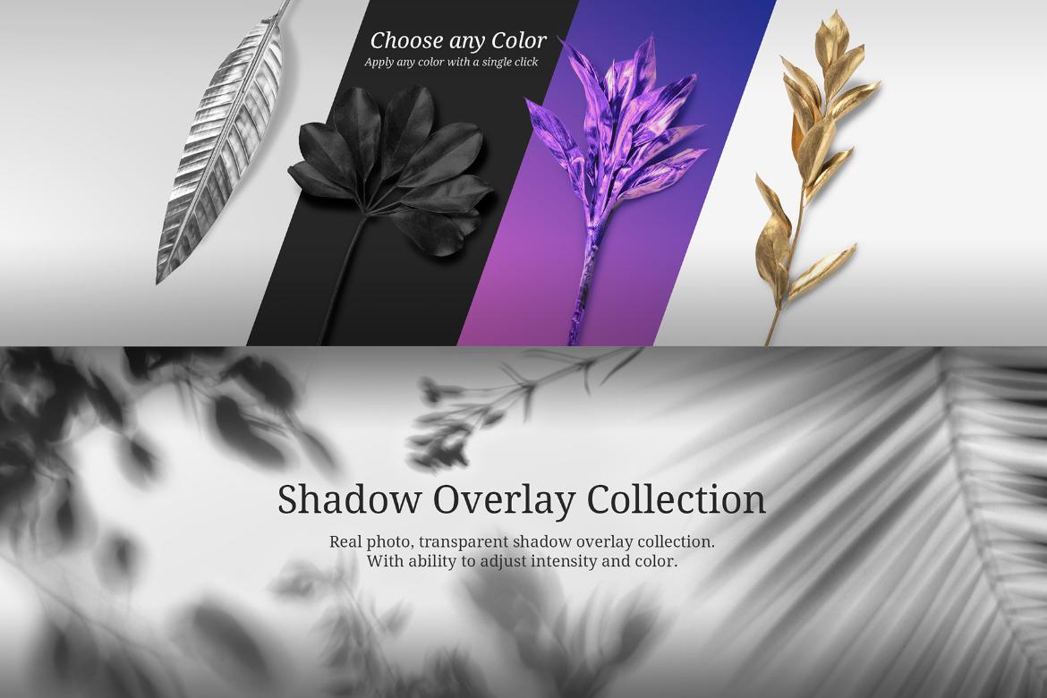 Floral Mockups Collection