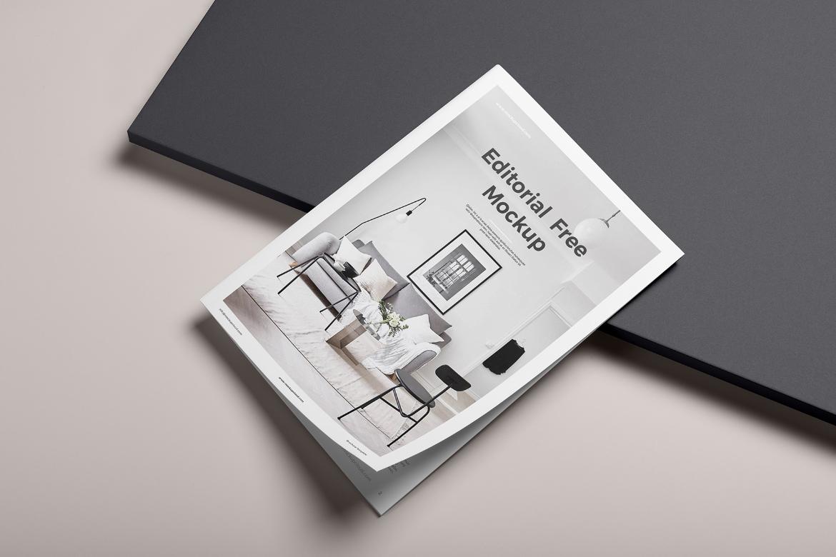 Editorial Mockup Free Demo