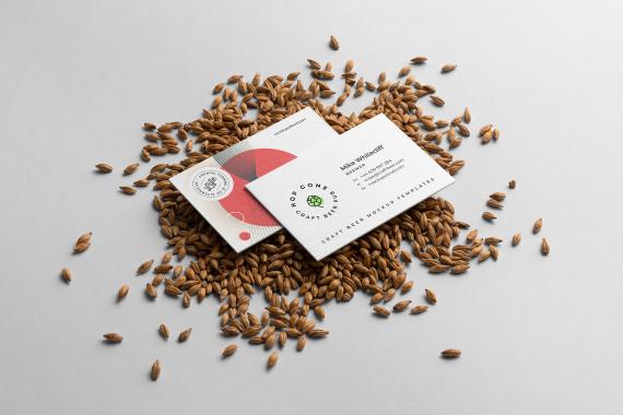 Craft Beer Packaging Mockups