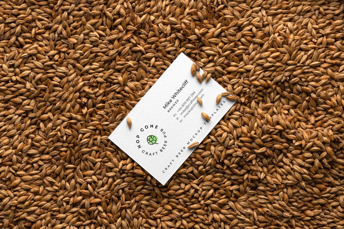 Craft Beer Packaging Mockups