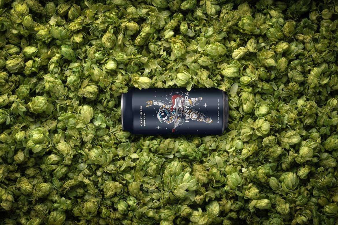 Craft Beer Packaging Mockups