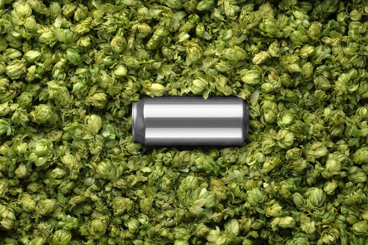 Craft Beer Packaging Mockups