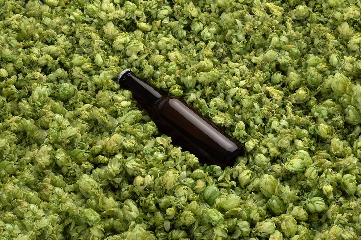 Craft Beer Packaging Mockups