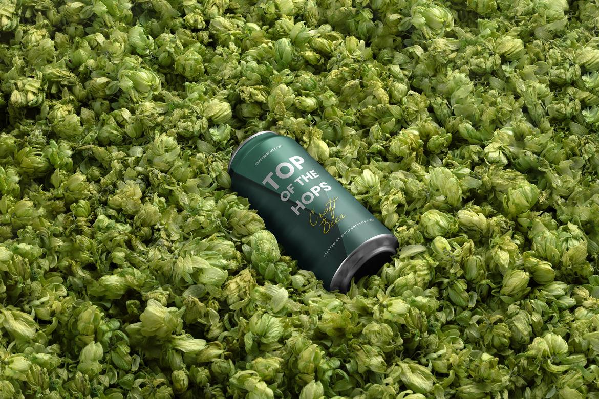 Free Beer Can Mockup