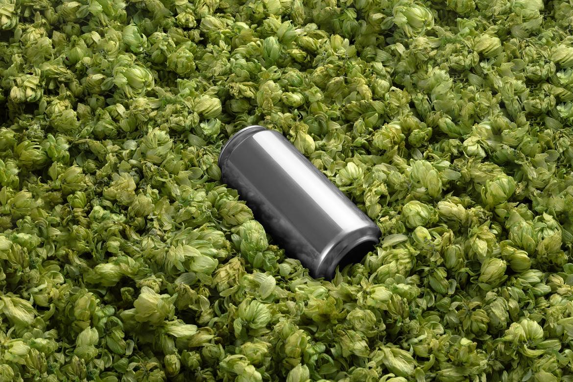 Free Beer Can Mockup