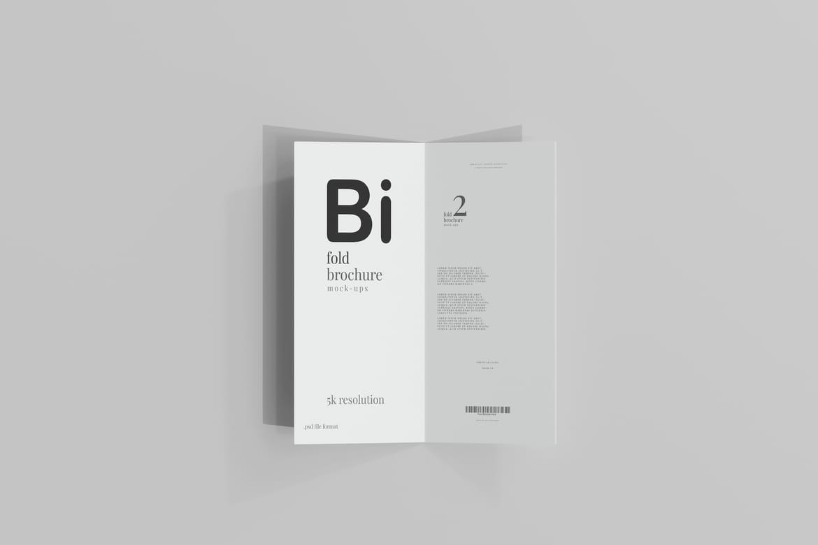 Bi Fold DL Brochure Mockups