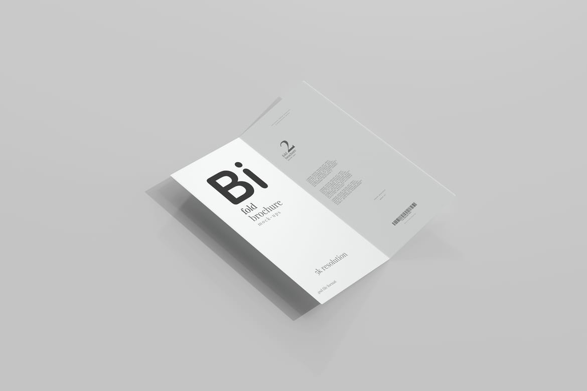 Bi Fold DL Brochure Mockups