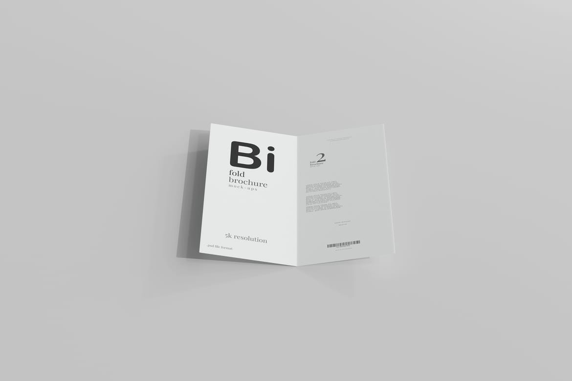 Bi Fold DL Brochure Mockups