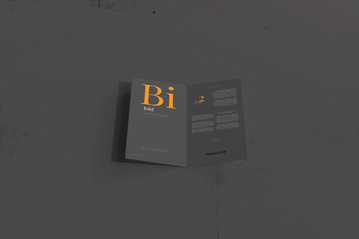 Bi Fold DL Brochure Mockups