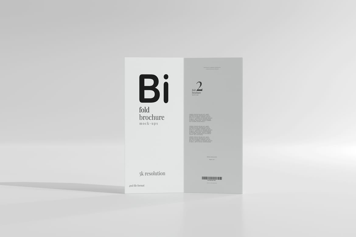 Bi Fold DL Brochure Mockups