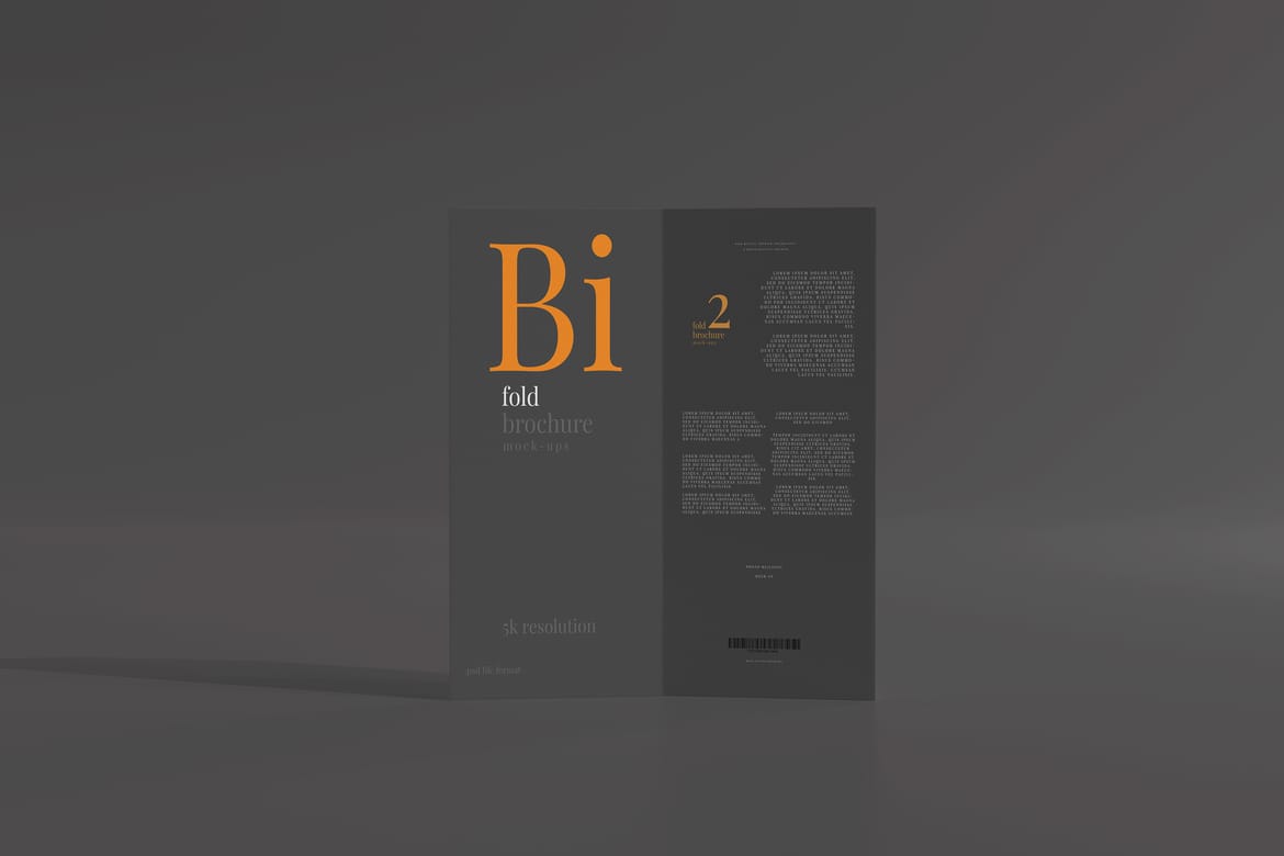 Bi Fold DL Brochure Mockups