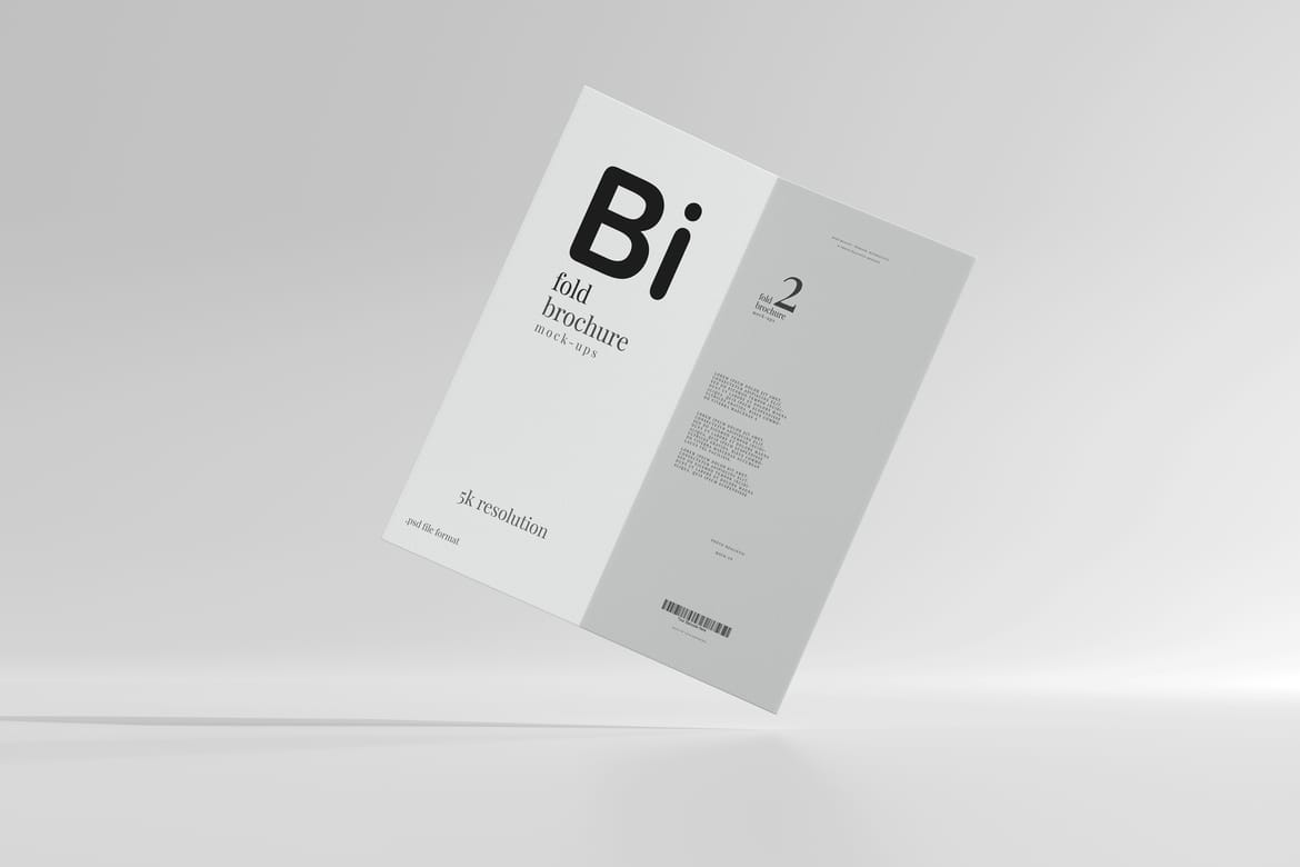Bi Fold DL Brochure Mockups