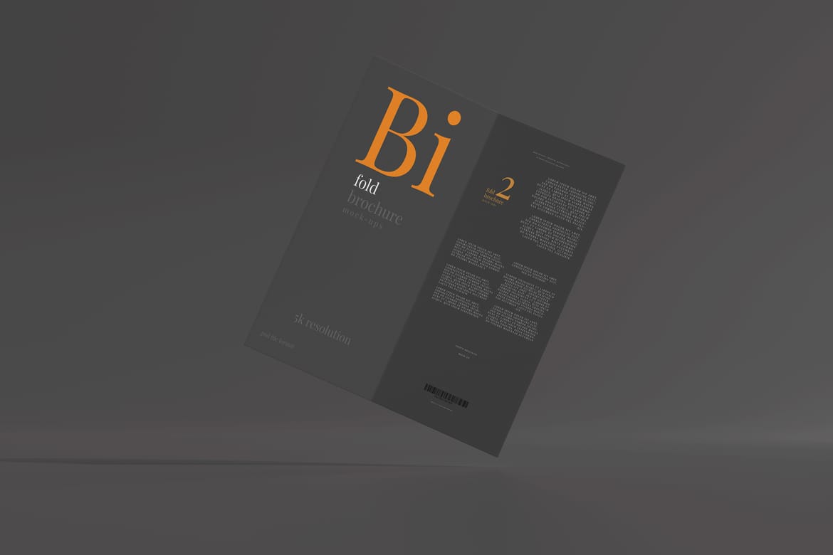 Bi Fold DL Brochure Mockups