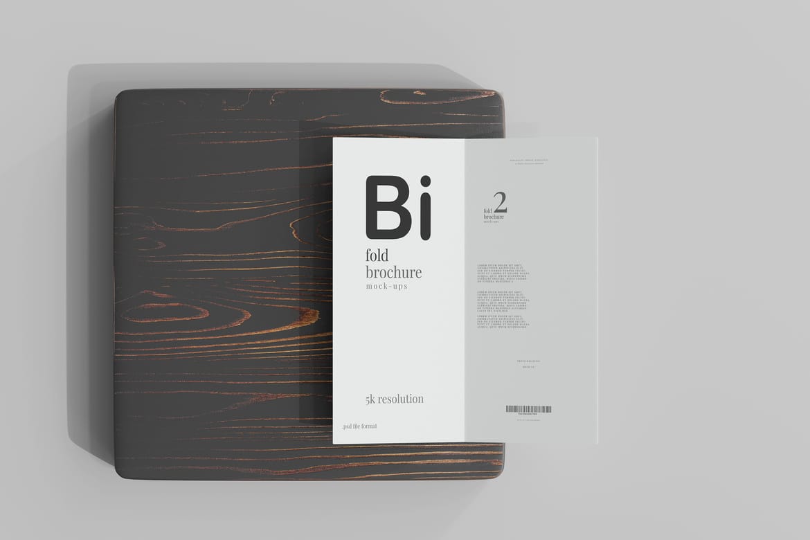 Bi Fold DL Brochure Mockups
