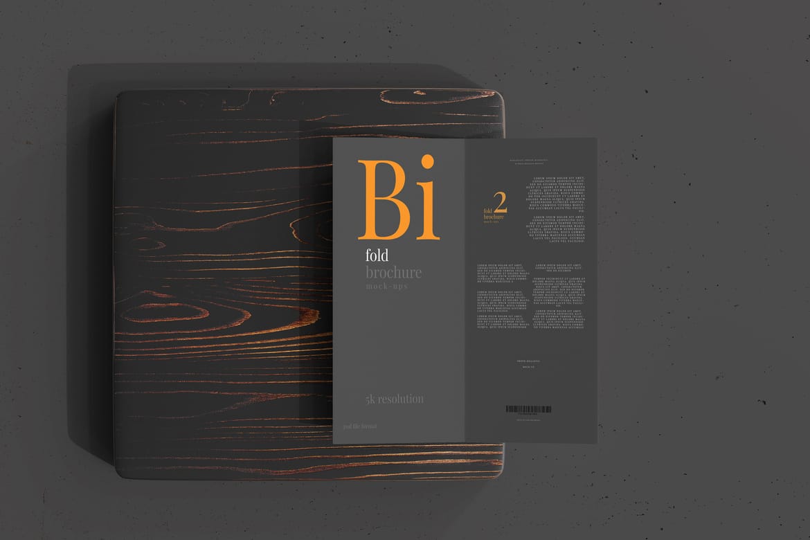 Bi Fold DL Brochure Mockups