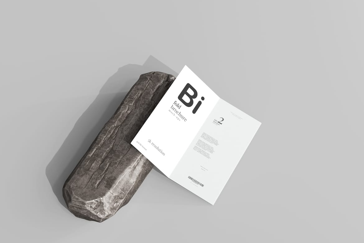 Bi Fold DL Brochure Mockups
