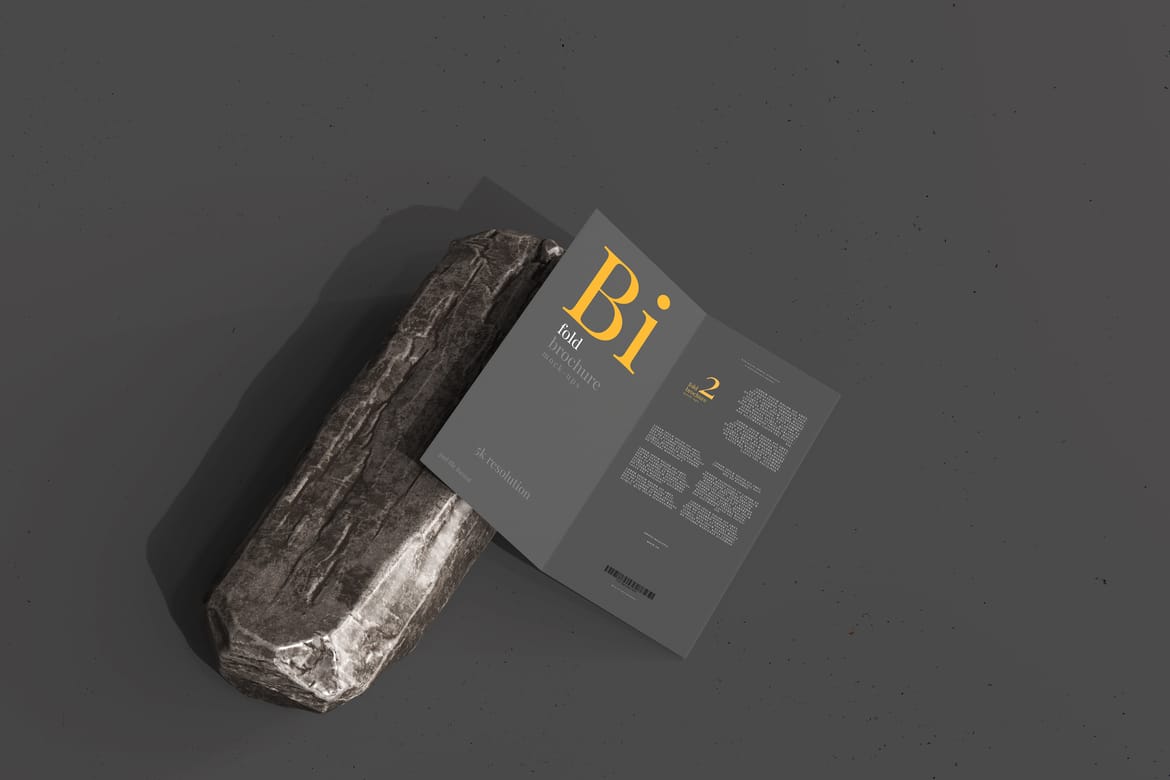 Bi Fold DL Brochure Mockups