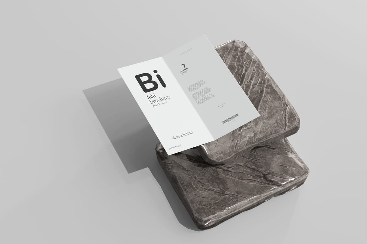Bi Fold DL Brochure Mockups