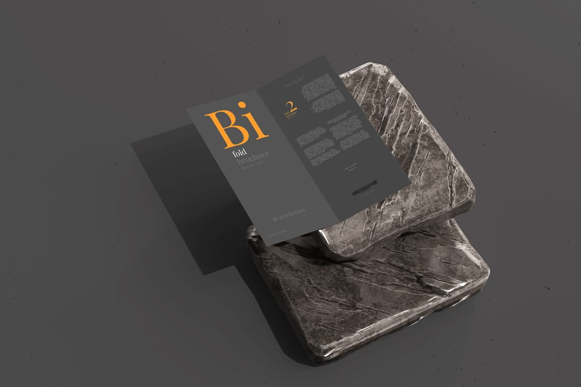 Bi Fold DL Brochure Mockups