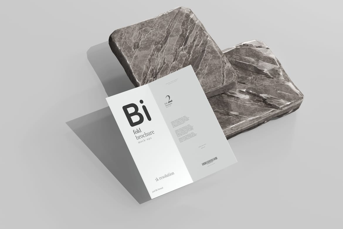 Bi Fold DL Brochure Mockups