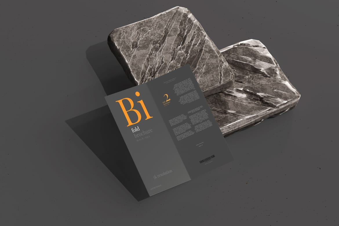 Bi Fold DL Brochure Mockups