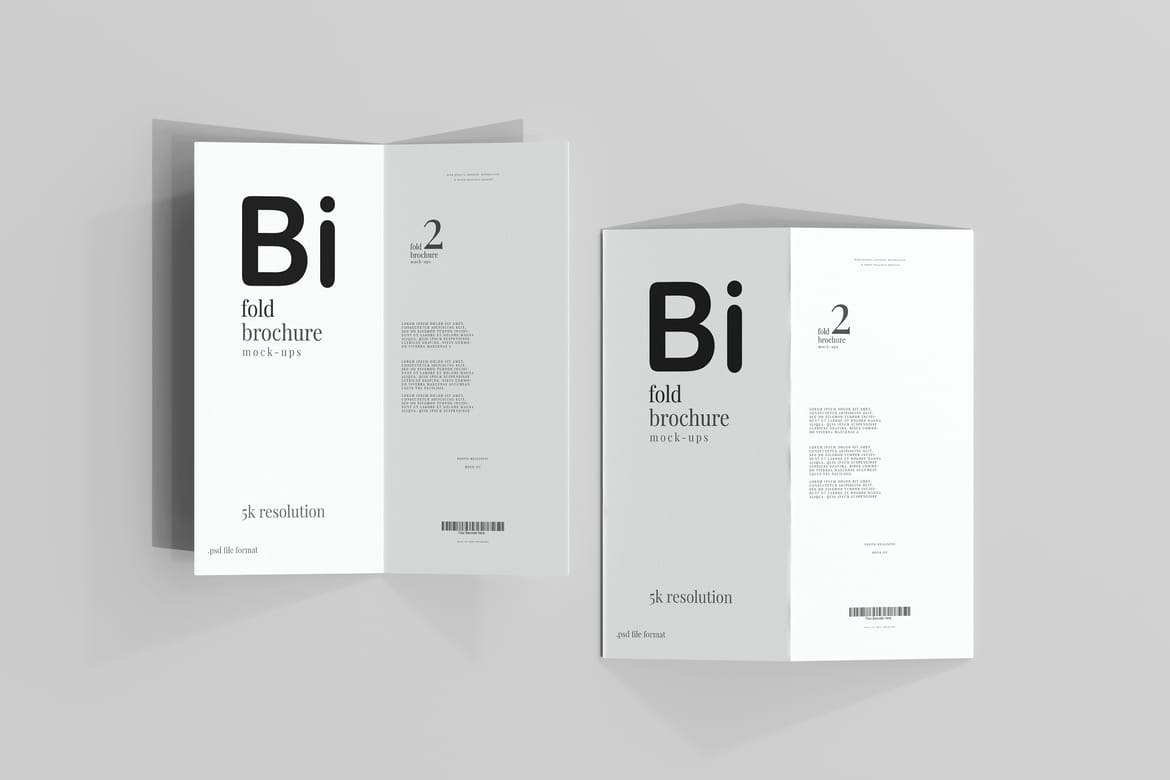 Bi Fold DL Brochure Mockups