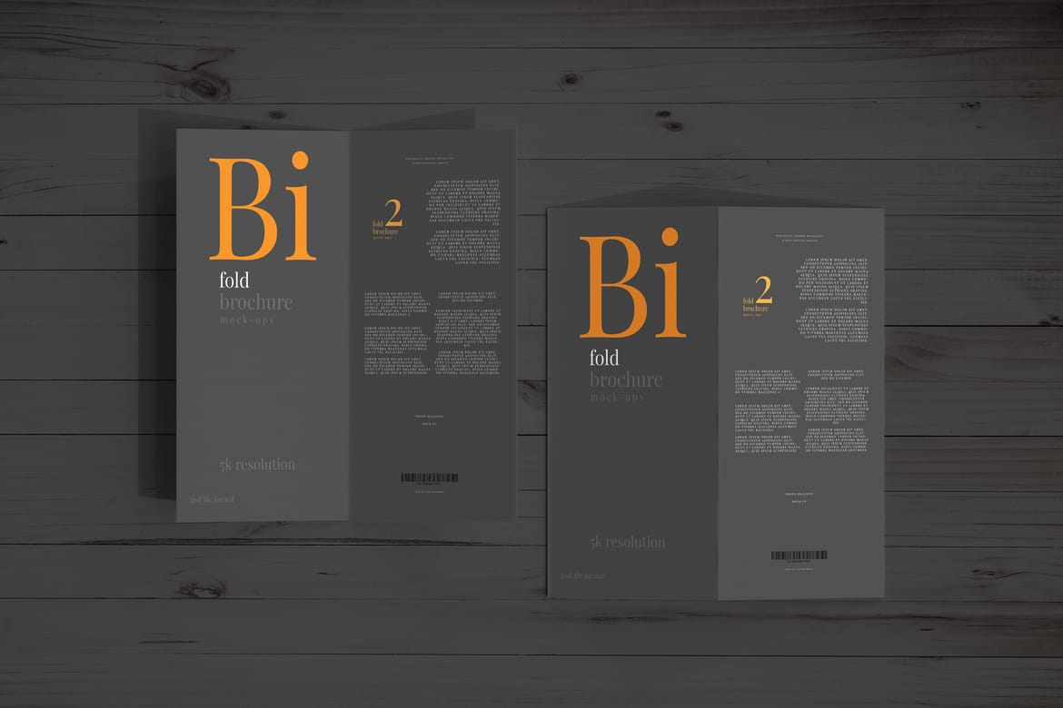 Bi Fold DL Brochure Mockups