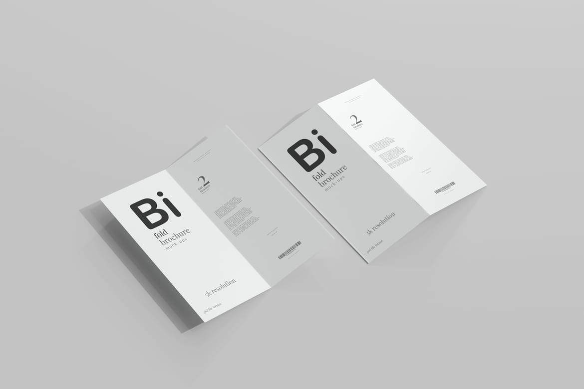 Bi Fold DL Brochure Mockups