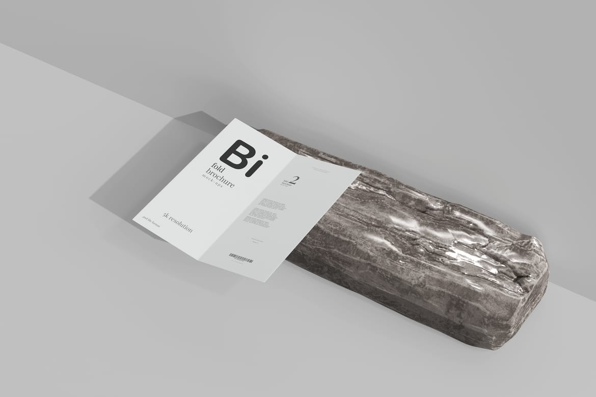 Bi Fold DL Brochure Mockups