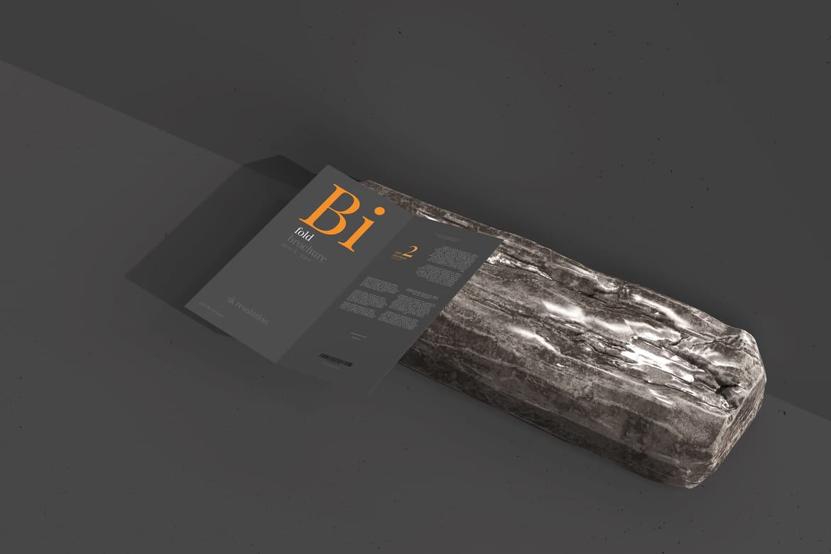 Bi Fold DL Brochure Mockups