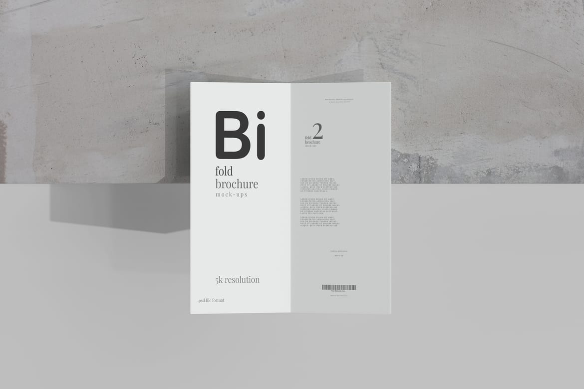 Bi Fold DL Brochure Mockups