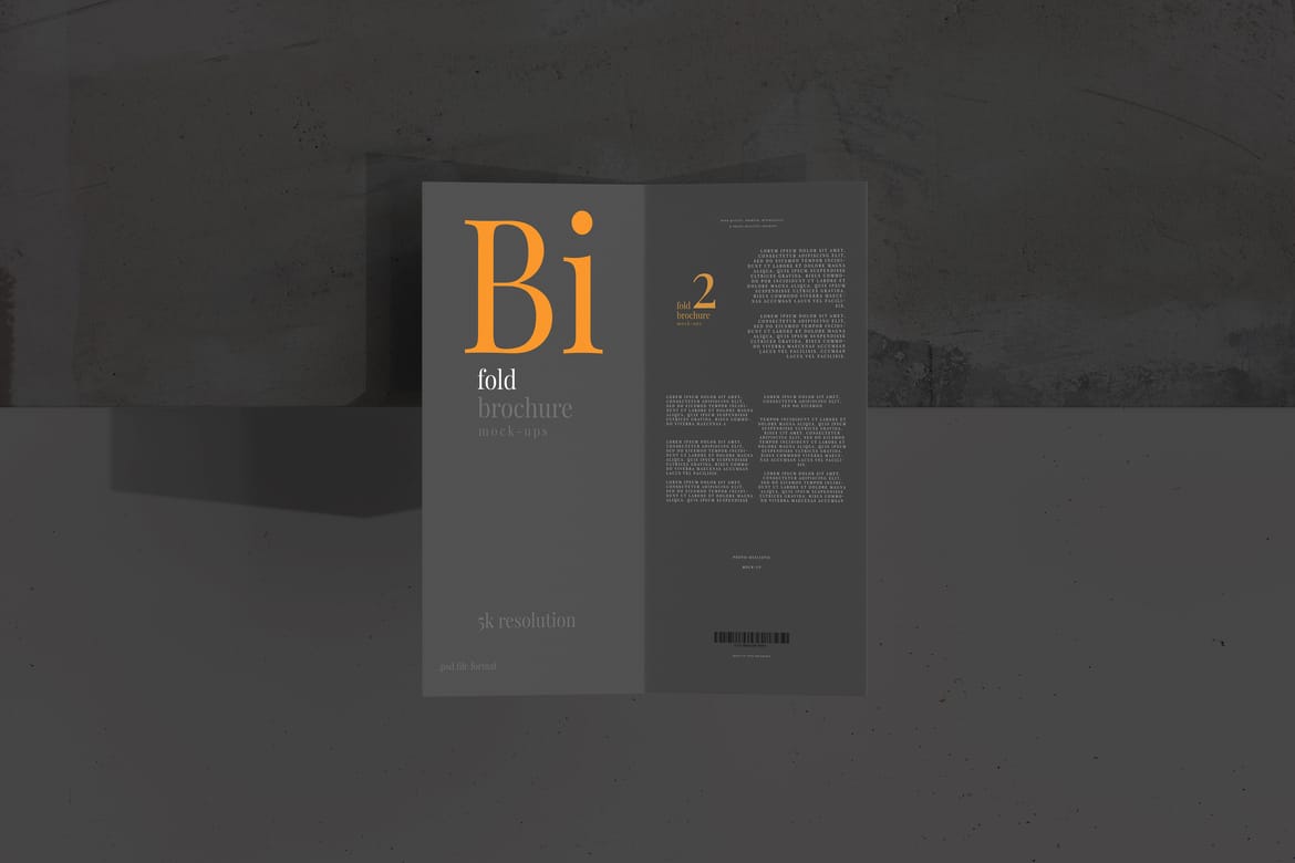 Bi Fold DL Brochure Mockups