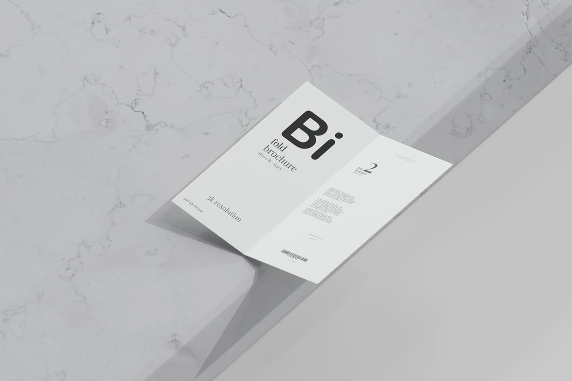 Bi Fold DL Brochure Mockups