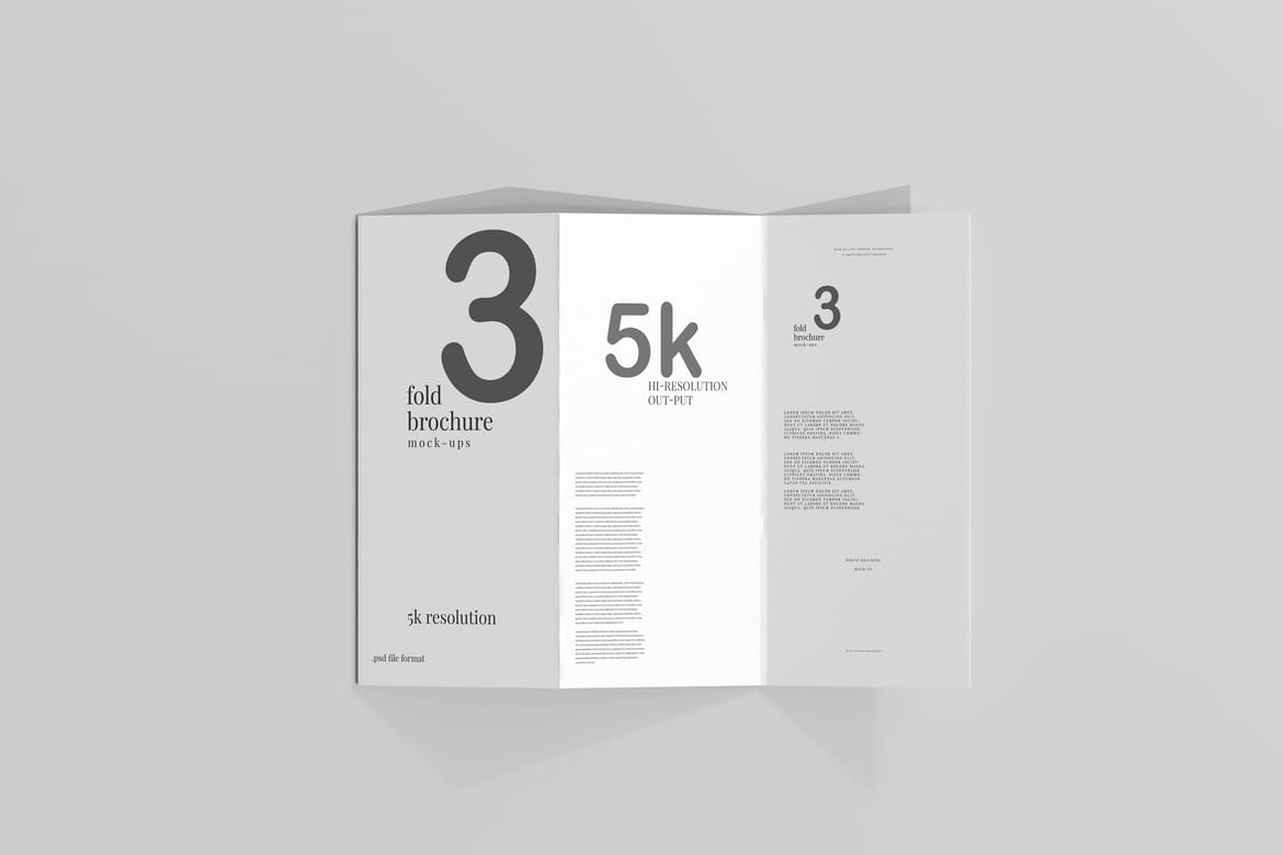 Tri Fold DL Brochure Mockups