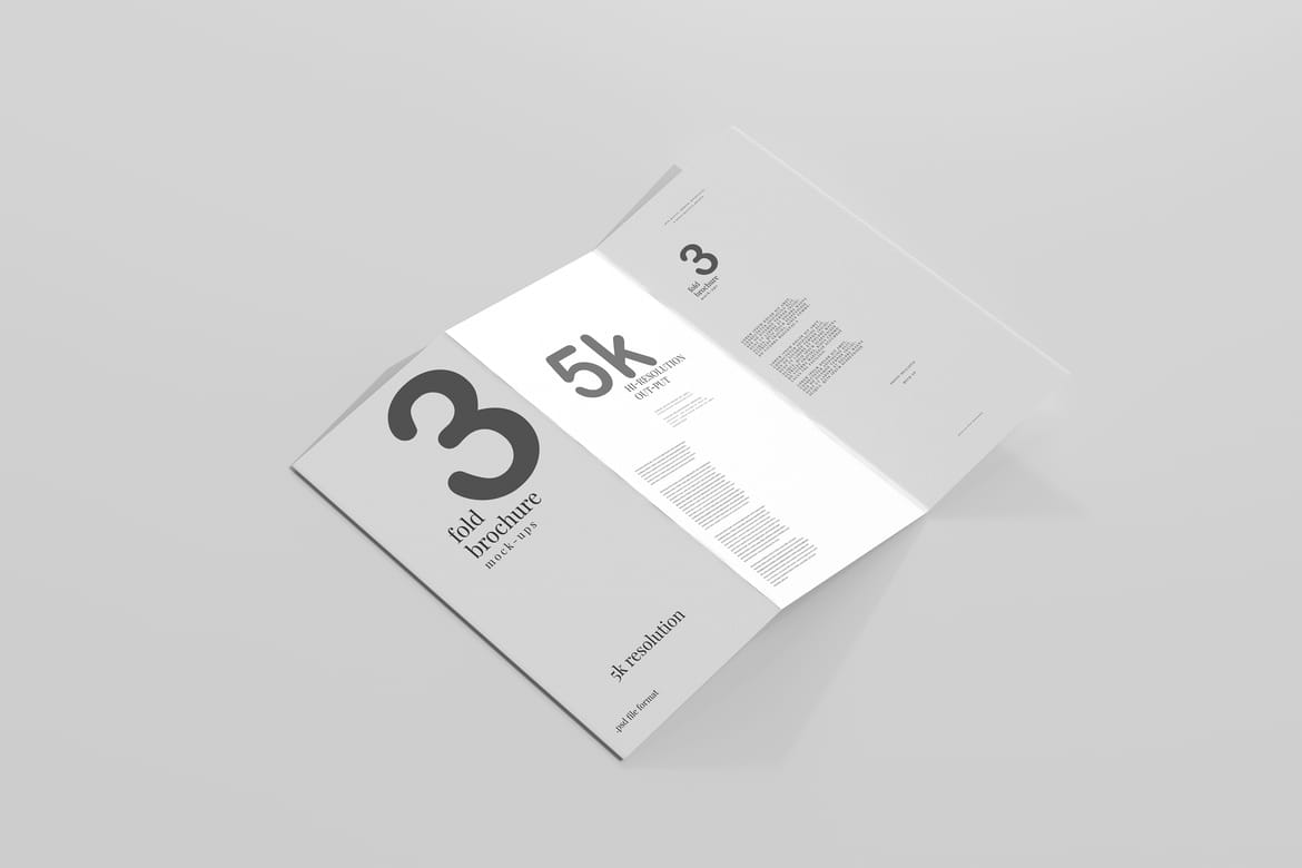 Tri Fold DL Brochure Mockups
