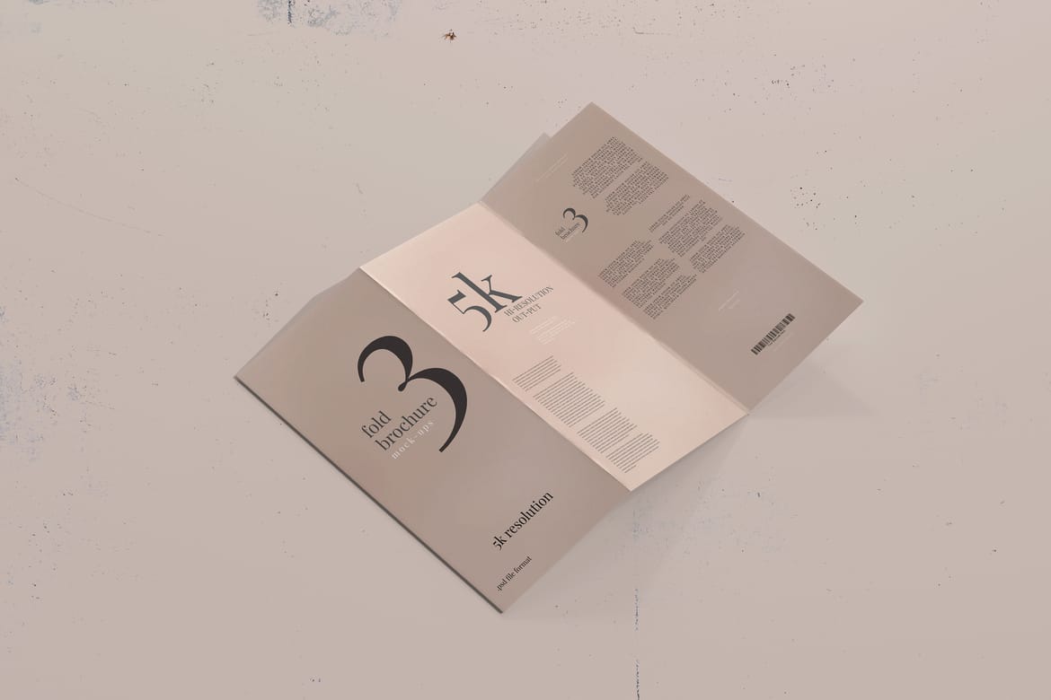 Tri Fold DL Brochure Mockups