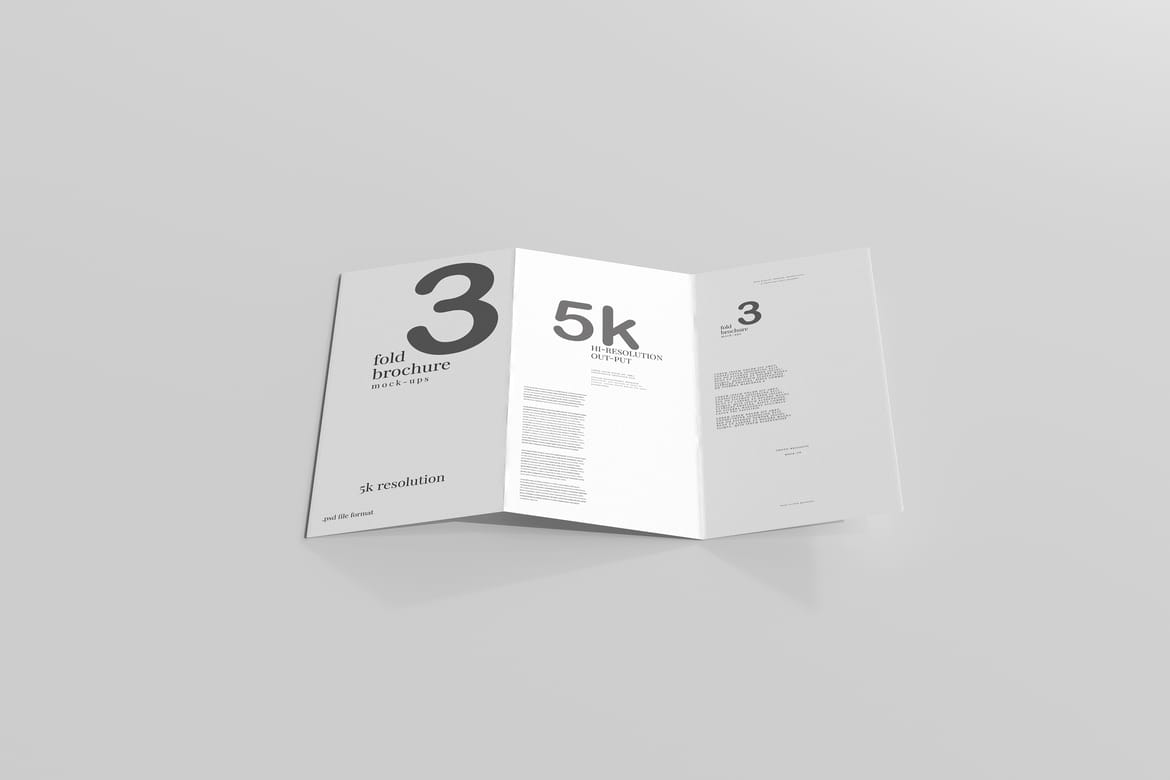 Tri Fold DL Brochure Mockups