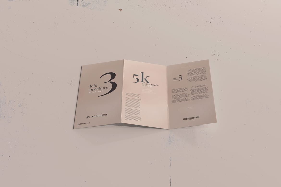 Tri Fold DL Brochure Mockups