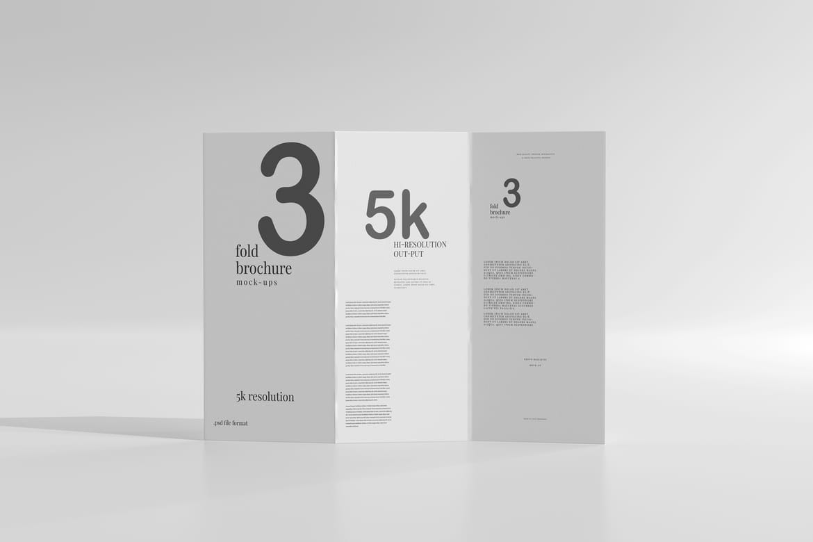 Tri Fold DL Brochure Mockups