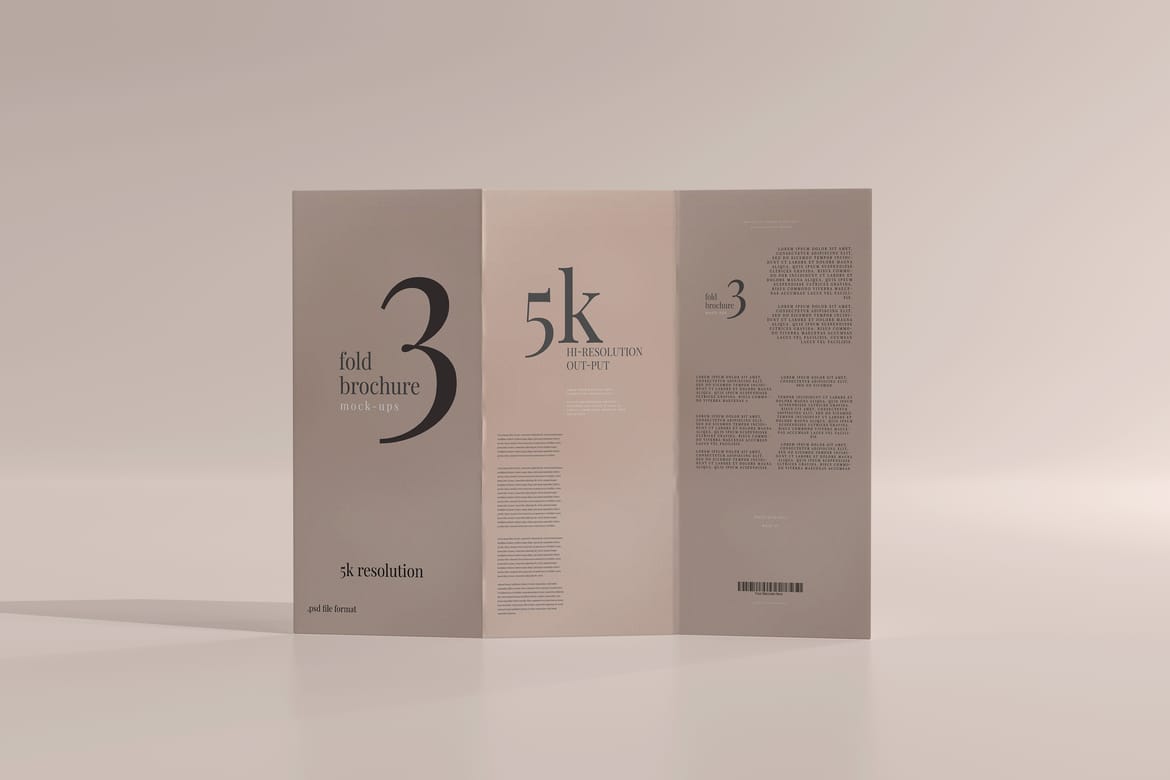 Tri Fold DL Brochure Mockups