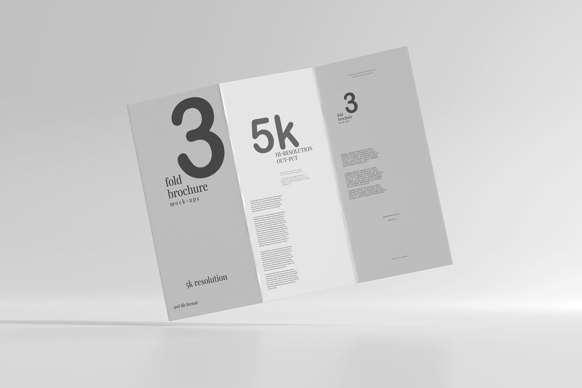 Tri Fold DL Brochure Mockups