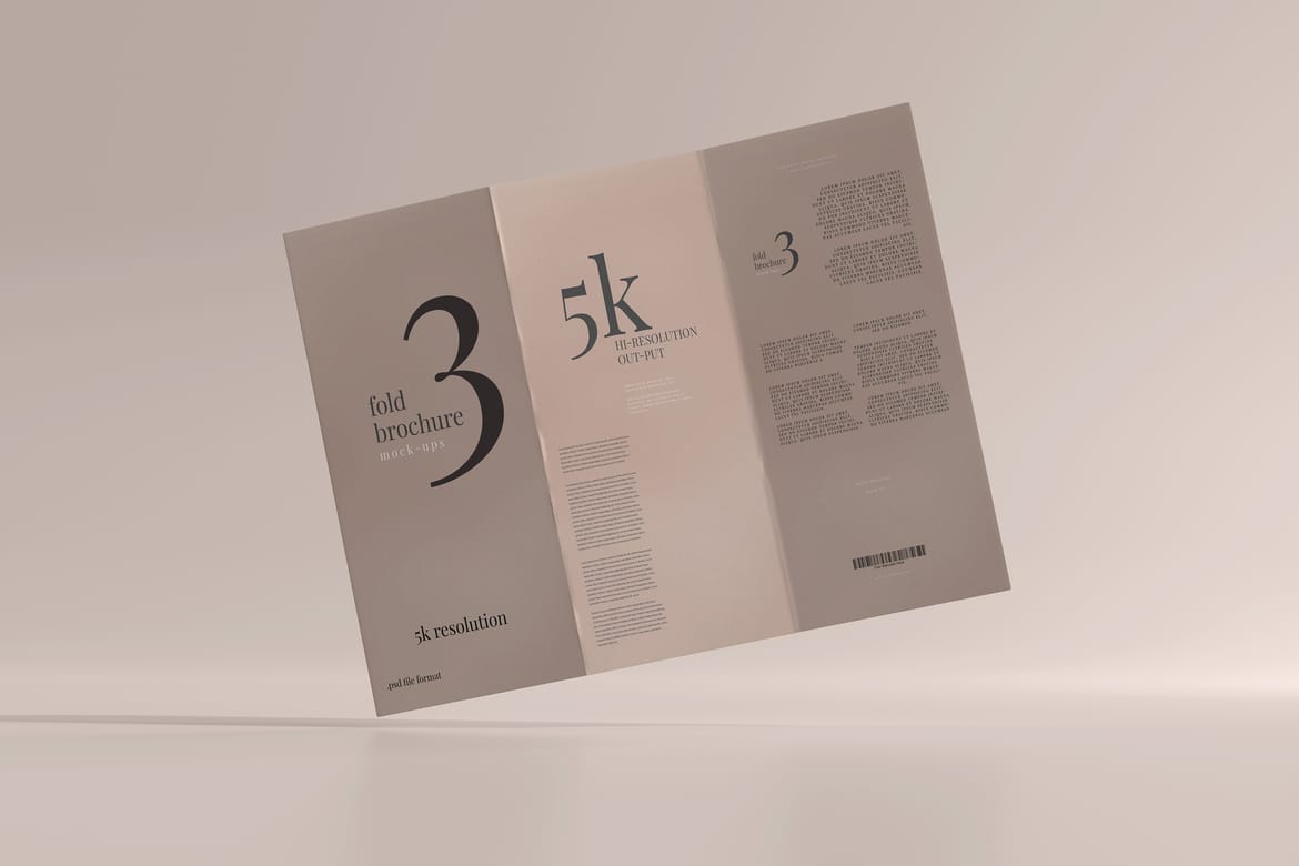 Tri Fold DL Brochure Mockups