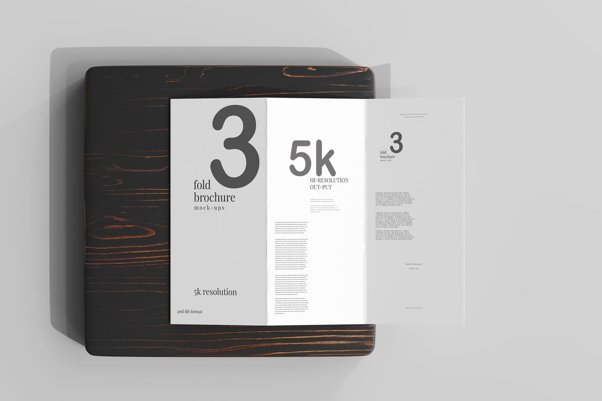 Tri Fold DL Brochure Mockups