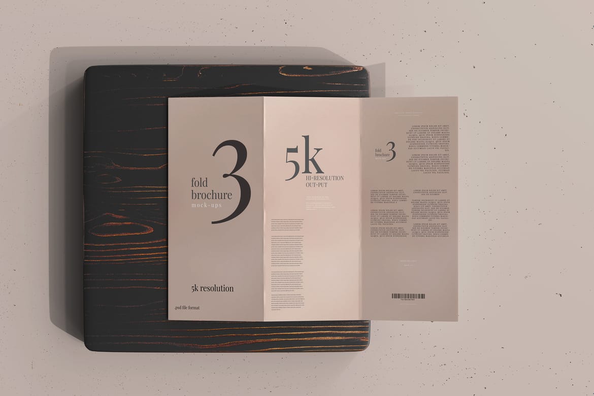 Tri Fold DL Brochure Mockups