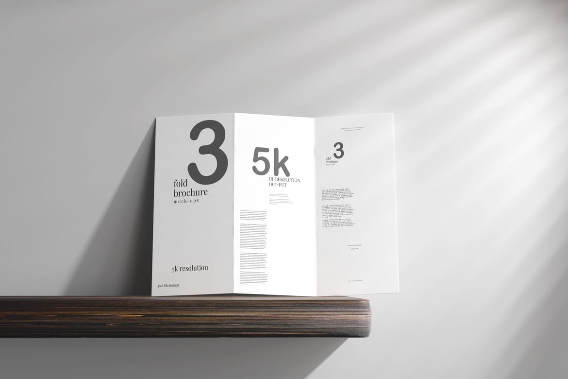Tri Fold DL Brochure Mockups