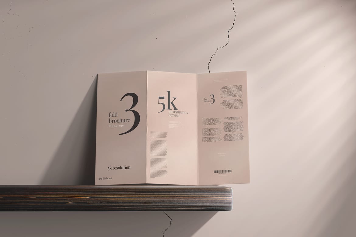 Tri Fold DL Brochure Mockups