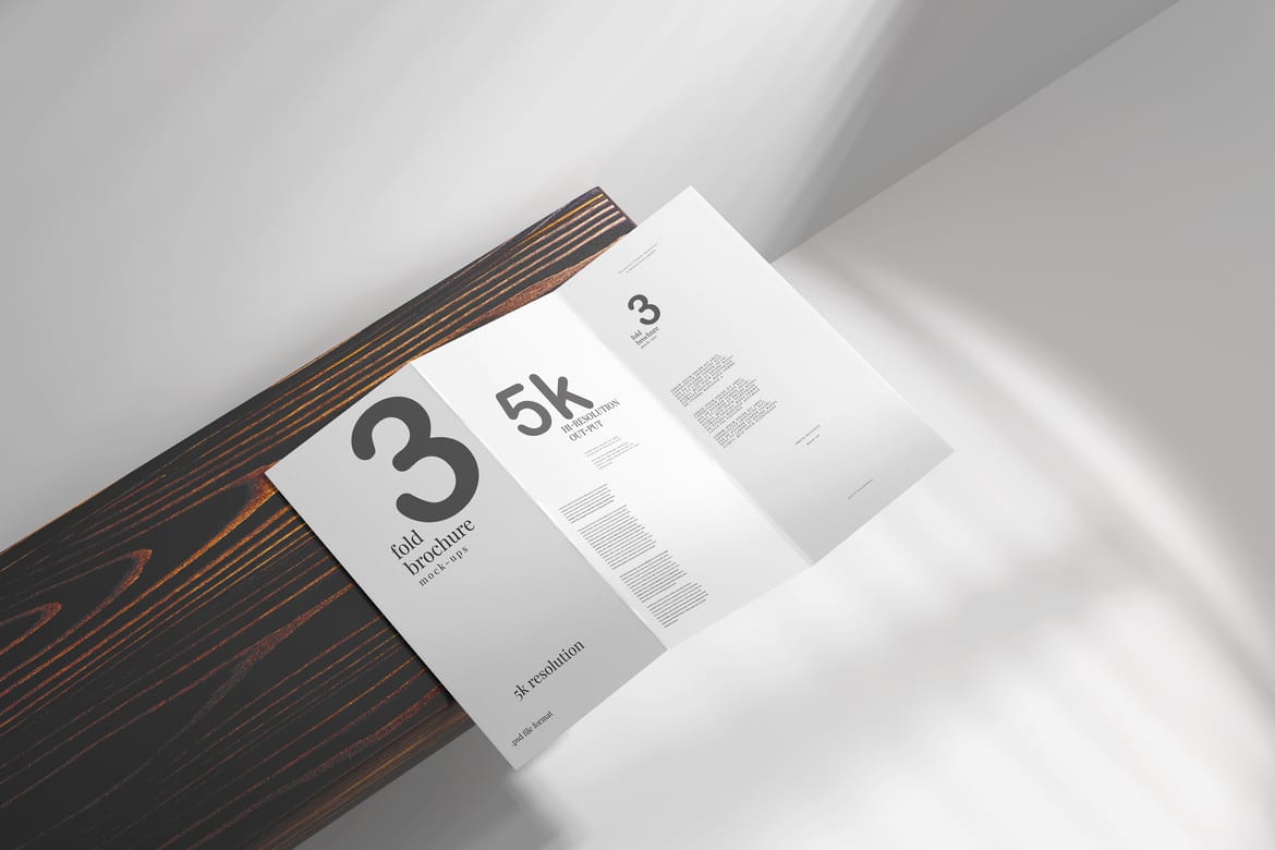 Tri Fold DL Brochure Mockups