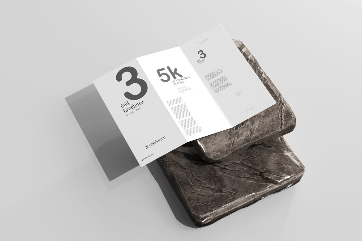Tri Fold DL Brochure Mockups