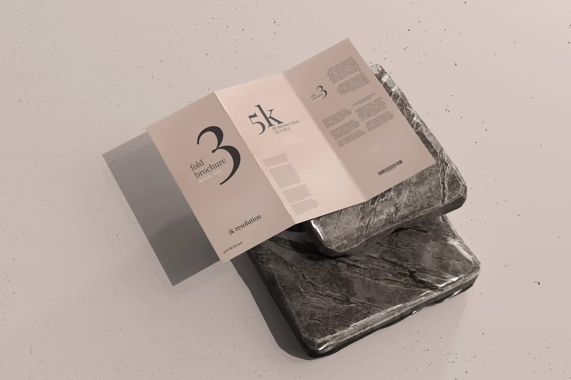 Tri Fold DL Brochure Mockups